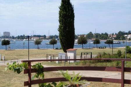 Murin Delfin Apartment Umag Exterior photo