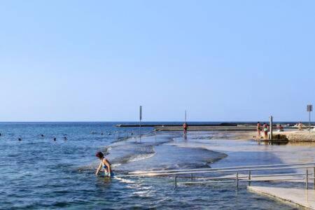 Murin Delfin Apartment Umag Exterior photo