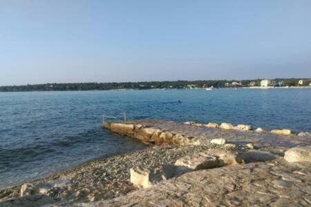 Murin Delfin Apartment Umag Exterior photo
